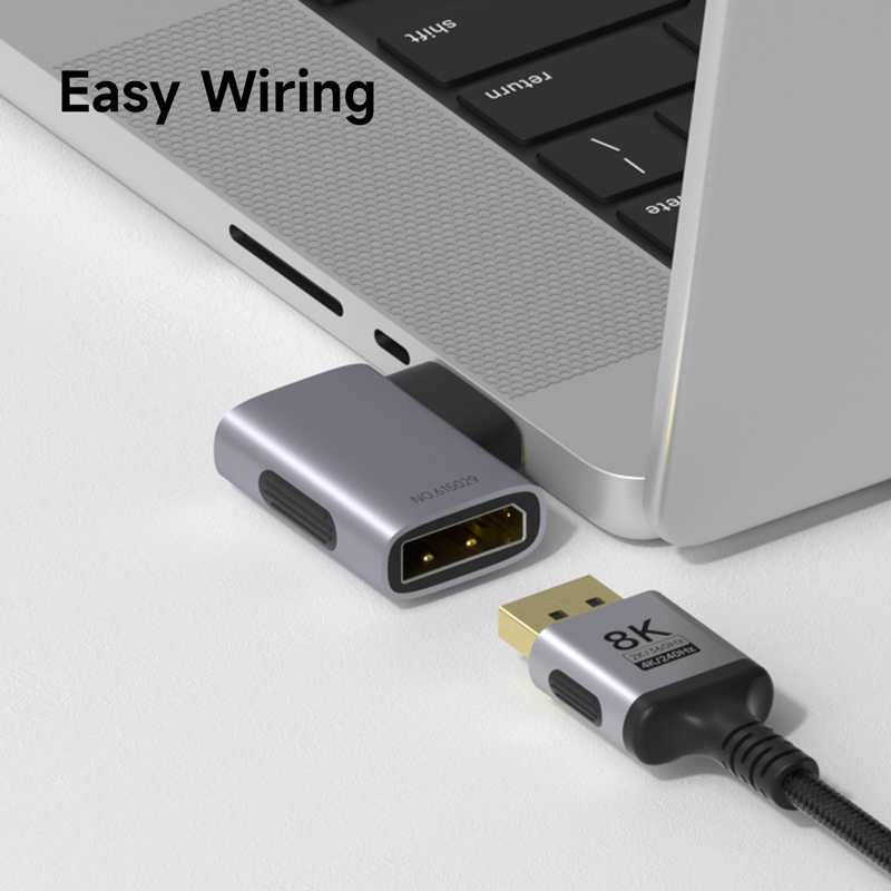 Hagibis DisplayPort Adapter Ri - Smart Home Tablet recension och pris
